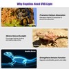 LURMMUE 8.5" Aluminum UVB 10.0 LED Reptile Light Bar with