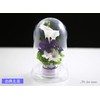 Art Four Seasons ● Offering Flowers 2 Colors Preserved Flowers