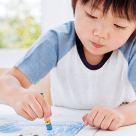 SAKURA CRAY - PAS Thick Rolled Pastel Crayons