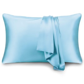 HandSun 100% Mulberry Silk Pillowcase for Hair and Skin with Gift Package Both Side 19 Momme Silk Pillowcase, 1pc (Standard(20"x26")-New, Flint Blue)