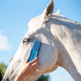 StripHair StripHair Gentle Groomer - Original for Horses Dogs 6-in-1 Shedding Grooming Massage (Blue)