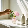 Saussavita Reed Diffusers Set, 7.10 oz Rose Water Scented Diffuser