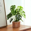 Lurrose Natural Wood Sticks for Crafts 50pcs DIY Art Supplies