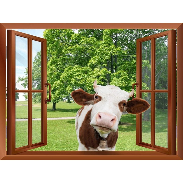 wall26 - A Cow Sticking its Head into an Open Window | Removable Wall Sticker/Wall Mural - 24"x32"