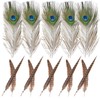 Bailinks 20 Pieces Peacock Feathers and Pheasant Feathers, Pheasant Tails