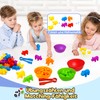 Montessori Toy Colours Learning from 2 3 4 5 Years,