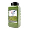 WWS War World Scenics WWScenics | 2 mm Spring Static