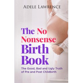 The No Nonsense Birth Book: The Good, Bad, and Ugly Truth of Pre and Post Child Birth