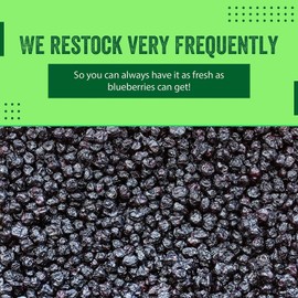 Dried Blueberries 1 lb (16 oz) – Gluten-Free & Peanut-Free, Slightly Sweetened – Great for Baking & Snacking – Berries with Benefits