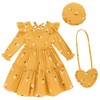 Toddler Girl Dress Kids Long Sleeve Ruffle Dresses Fall Winter