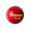 DSC Premier Leather Cricket Ball (Red)| Water Proofed Leather Ball