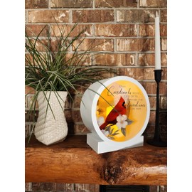 Carson Memorial Lantern Shadow Box with Flameless LED Candle Sympathy Gift for Funeral for Loss of Loved One Remembrance Lantern for Home Decor (Cardinals Appear)