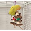 WEILFYONK Parrot Toy Bird Toy Hanging Toy Parrot Chew Toy