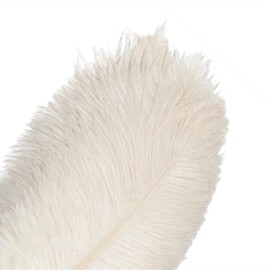 10Pcs Bulk Natural White Ostrich Feathers,12-14 inch (30-35cm) Beautiful Long Feather for Crafts,Wedding Centerpieces Party Home Decoration,Dress and Christmas DIY (White, 12-14in)