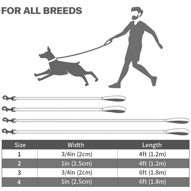 Taglory Dog Leads for Medium Large Dogs | Double Sided