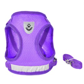 FEimaX No Pull Small Dog Harness and Leash Set, Soft Mesh Puppy Reflective Adjustable Harnesses for Walking Escape Proof Cat Kitten Step-in Breathable Vest Harness