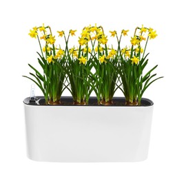 Kaichenyt 2 Sets Self Watering Planter Pots, w/Water Level Gauges, Plants Flower Pot, Plastic Planters for All House Herbs Succulents, 15.35 * 5.91 * 7.09inch (White)