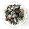 Tumbled Grey Botswana Agate - Healing Stone (1)