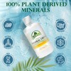 Organa Trace Minerals - Liquid Colloidal Minerals Supplements - Plant