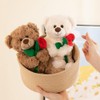 Wgxzyq Teddy Bear Stuffed Animal with Rose, Soft Cuddly Stuffed