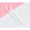 VNDEFUL 100Pcs(5 Packets ) White Dental Floss Picks Toothpicks Stick