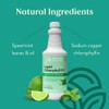 Nature's Sunshine Liquid Chlorophyll - Immunity Support, Detox & Cleanse,