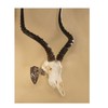 Skull Hooker Realtree Edition Little Hooker Trophy Mount - Perfect