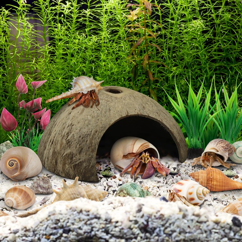QUOZUO Hermit Crab Sea Shells Natural Coconut Shell Hut Artificial