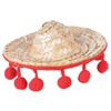 Sombrero Hair Clip Party Accessory (1 count) (1/Pkg)