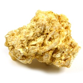 EISCO Coquina Specimen (Sedimentary Rock), Approx. 1" (3cm)