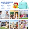 NOL Natural Organic Lifestyle Insulated Lunch Bags for Women Cooler