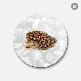 Unbranded Scarlet King Snake Animal | 4'' X 4'' Round Decorative Magnet