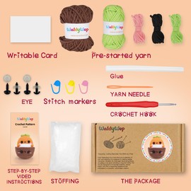 WaldyWop Crochet Kit for Beginners, Crochet Kit for Adults and Kids (13+), Learn to Crochet Kits with Step-by-Step Video, Complete Tools, Easy Crochet Yarn, Positive DIY Crochet Gifts