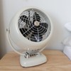 Vornado VFAN™ Vintage Fan, Retro Metal Air Circulator for Cooling