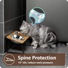 AYADA Elevated Cat Bowls, Height Adjustable Raised with Stand Lifted
