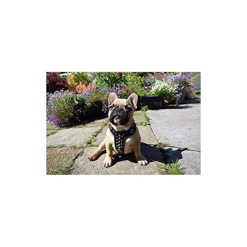 Bestia studded leather harness. French Bulldog size. 100% leather. Handmade