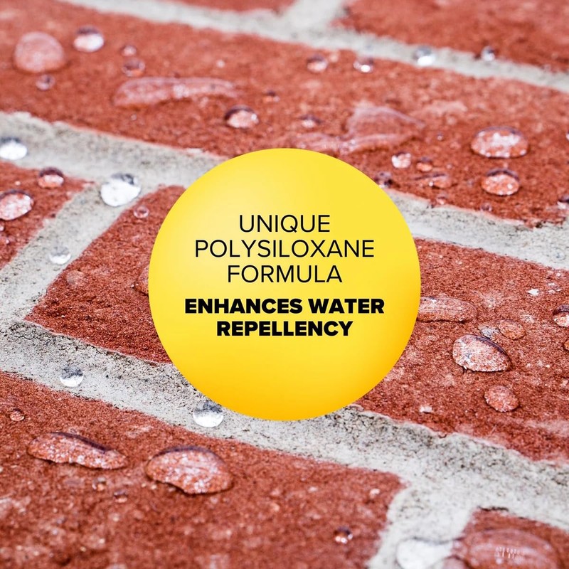 ChimneyRx Advanced Water Repellent - Clear Sealer for Masonry Surfaces
