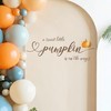 A Sweet Little Pumpkin is On The Way Decorations -