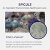 APLB Spicule Collagen Shot 300 Serum SPICULE COLL SHOT 300