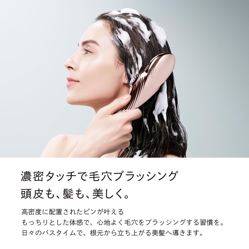 ReFa ION CARE BRUSH PREMIUM ReFa Ion Care Brush, Premium