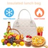 LOIDOU Insulated Lunch Bag Small Cooler Bag for Office School