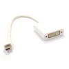 kenable Mini-DisplayPort/Thunderbolt Plug to DVI-D 24+4 Socket Adapter