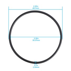 Swordgorgedragon (2-Pack) 192323 O-Ring Seal Gasket Compatible with Pentair Pool and Spa DE Filters NSP36, NSP48, NSP60, NSP72 for Replacing Filter Tank Lid Seal