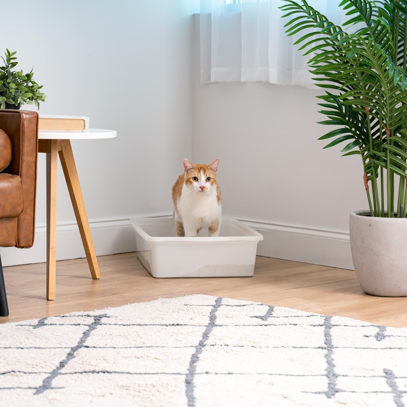 IRIS USA Large Open Top Cat Litter Box, Kitty Litter