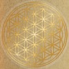 Flower of Life Sticker 9 cm with Protective Varnish Transparent