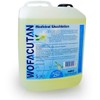 WOFACUTAN medicinal Waschlotion 5 l