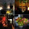 BIGMONAT Cordless Landscape Light Rechargeable, Color Changing Planter Spotlight Indoor