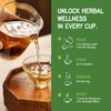 TisaFlor Cleavers Herb Lymphatic Drainage Tea Bags, 50 Counts for