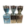 Cologne Victorious Cologne Lot 3 Bottles Aqua / Extreme /