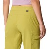 Mountain Hardwear Women's Dynama High Rise Utility Jogger, Moon Moss